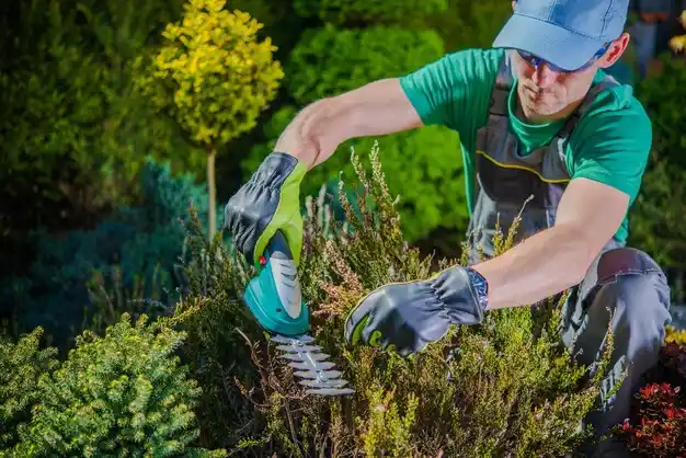 landscaping services Patchogue